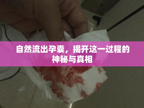 自然流出孕囊，揭開這一過程的神秘與真相