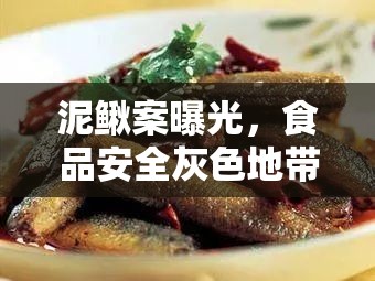 泥鰍案曝光，食品安全灰色地帶的冰山一角