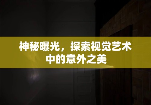 神秘曝光，探索視覺藝術中的意外之美