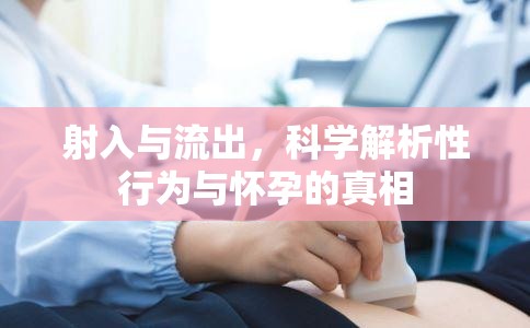 射入與流出，科學(xué)解析性行為與懷孕的真相