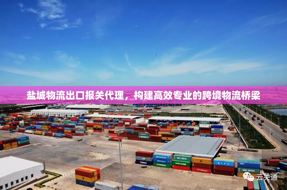 鹽城物流出口報關代理，構建高效專業(yè)的跨境物流橋梁