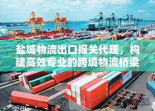 鹽城物流出口報關代理，構建高效專業(yè)的跨境物流橋梁