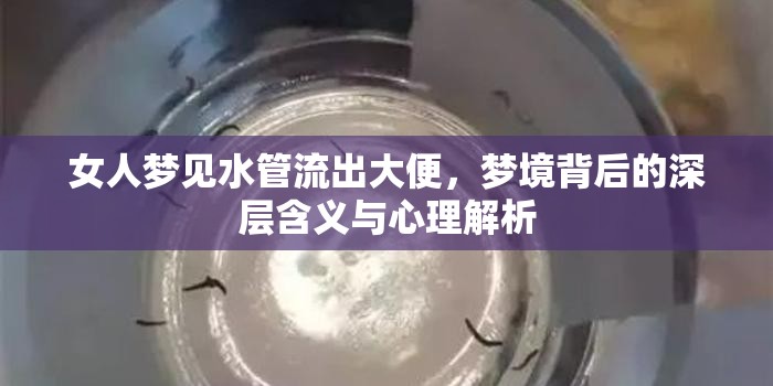 女人夢見水管流出大便，夢境背后的深層含義與心理解析