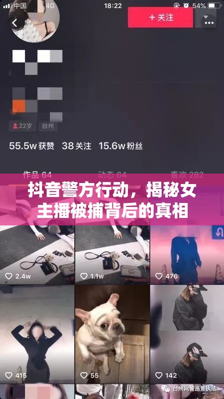 抖音警方行動(dòng)，揭秘女主播被捕背后的真相