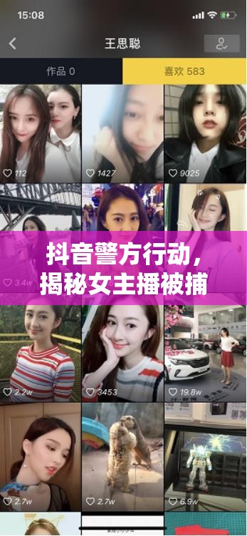 抖音警方行動(dòng)，揭秘女主播被捕背后的真相