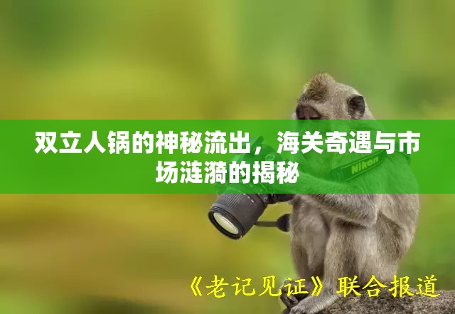 雙立人鍋的神秘流出，海關奇遇與市場漣漪的揭秘