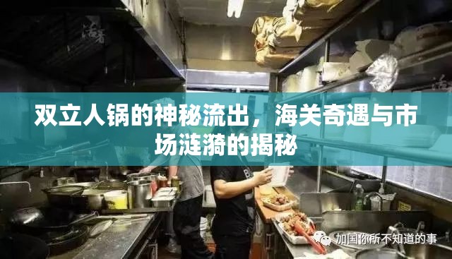 雙立人鍋的神秘流出，海關奇遇與市場漣漪的揭秘