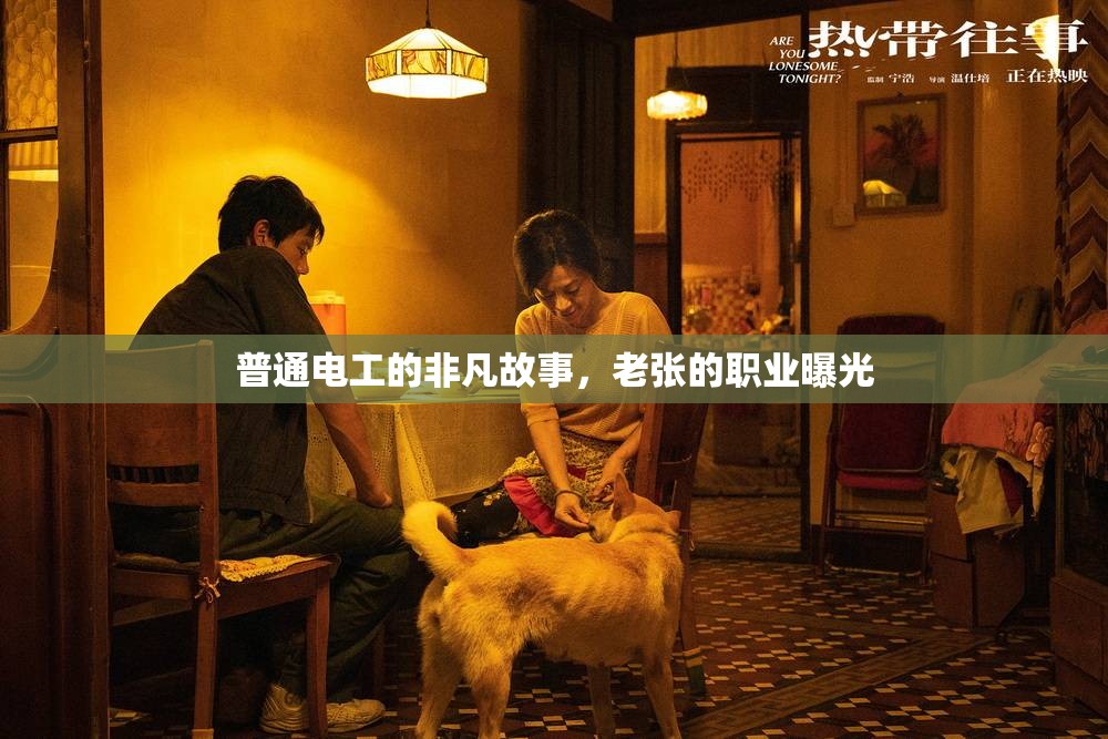 普通電工的非凡故事，老張的職業(yè)曝光