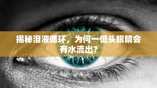 揭秘淚液循環(huán)，為何一低頭眼睛會有水流出？