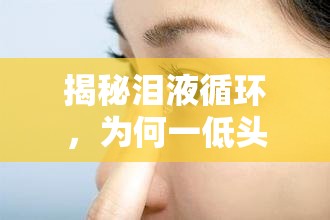 揭秘淚液循環(huán)，為何一低頭眼睛會有水流出？