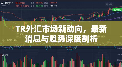 TR外匯市場新動向，最新消息與趨勢深度剖析
