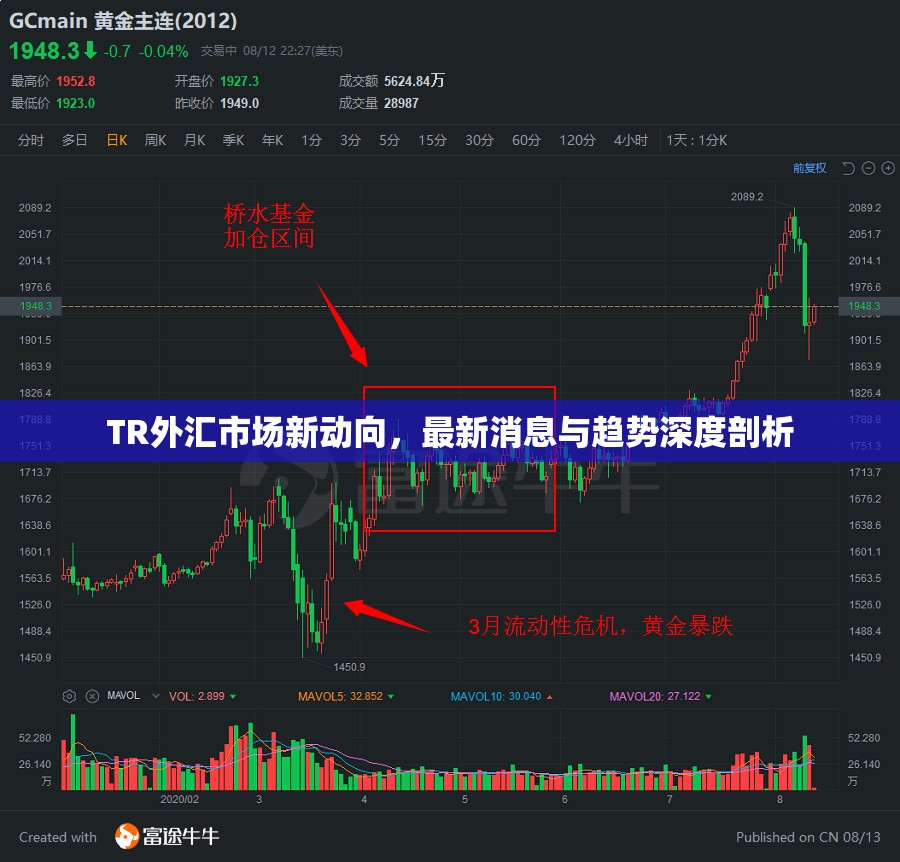 TR外匯市場新動向，最新消息與趨勢深度剖析