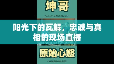 陽(yáng)光下的瓦解，忠誠(chéng)與真相的現(xiàn)場(chǎng)直播
