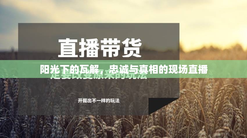 陽(yáng)光下的瓦解，忠誠(chéng)與真相的現(xiàn)場(chǎng)直播