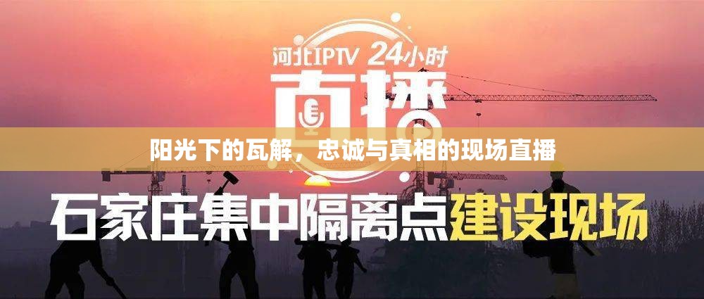 陽(yáng)光下的瓦解，忠誠(chéng)與真相的現(xiàn)場(chǎng)直播