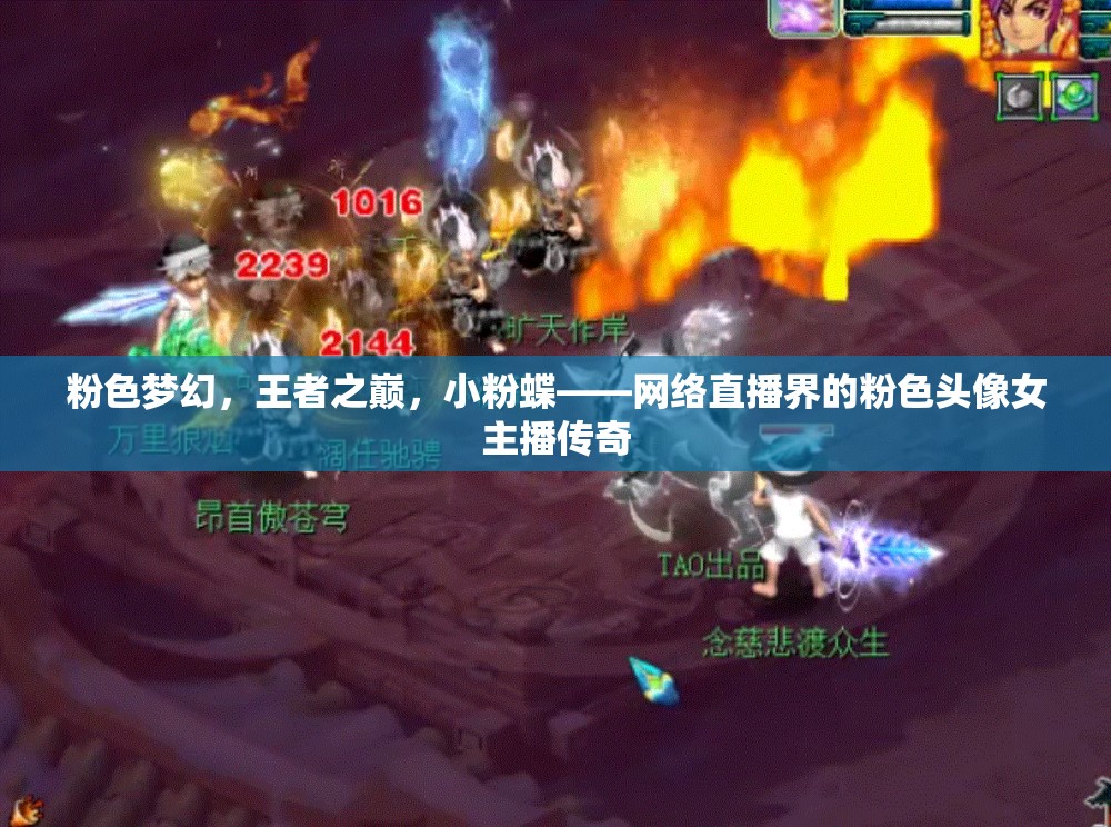 粉色夢幻，王者之巔，小粉蝶——網(wǎng)絡(luò)直播界的粉色頭像女主播傳奇
