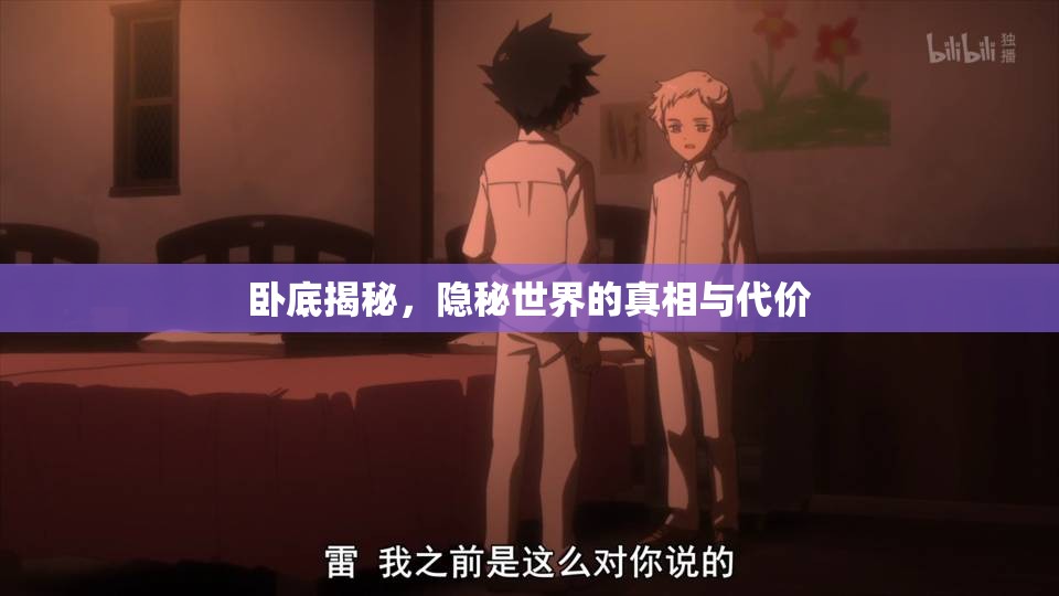 臥底揭秘，隱秘世界的真相與代價(jià)