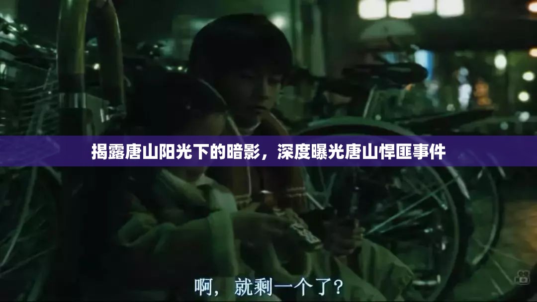 揭露唐山陽(yáng)光下的暗影，深度曝光唐山悍匪事件