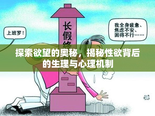 探索欲望的奧秘，揭秘性欲背后的生理與心理機(jī)制