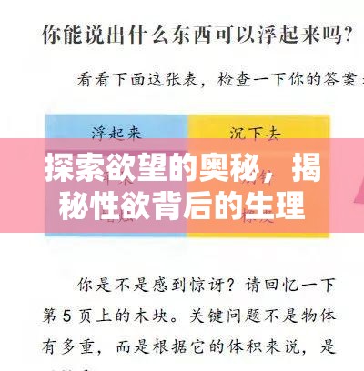 探索欲望的奧秘，揭秘性欲背后的生理與心理機(jī)制