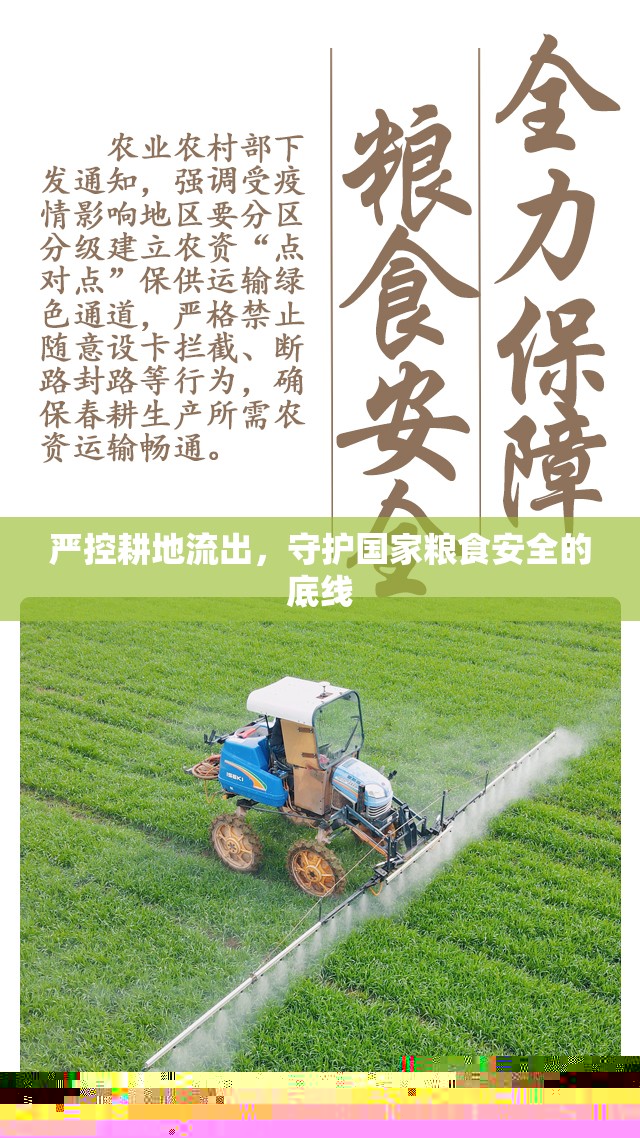 嚴(yán)控耕地流出，守護(hù)國家糧食安全的底線