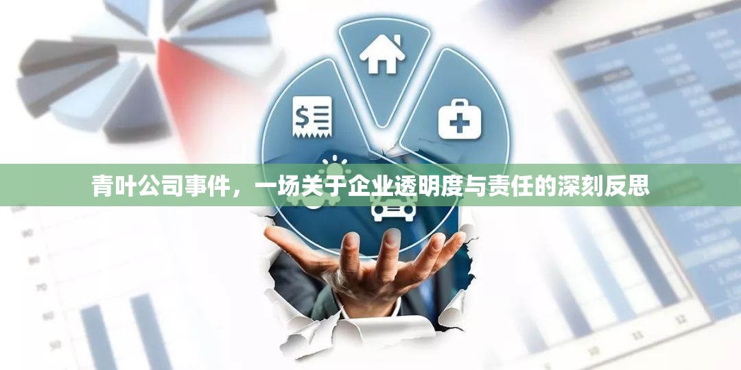 青葉公司事件，一場(chǎng)關(guān)于企業(yè)透明度與責(zé)任的深刻反思