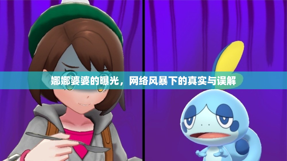 娜娜婆婆的曝光，網(wǎng)絡(luò)風(fēng)暴下的真實與誤解