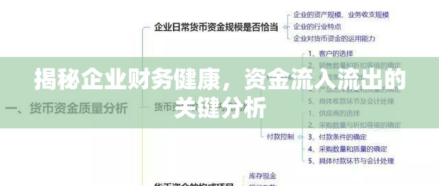 揭秘企業(yè)財(cái)務(wù)健康，資金流入流出的關(guān)鍵分析