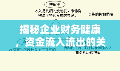 揭秘企業(yè)財(cái)務(wù)健康，資金流入流出的關(guān)鍵分析