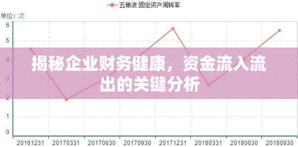 揭秘企業(yè)財(cái)務(wù)健康，資金流入流出的關(guān)鍵分析