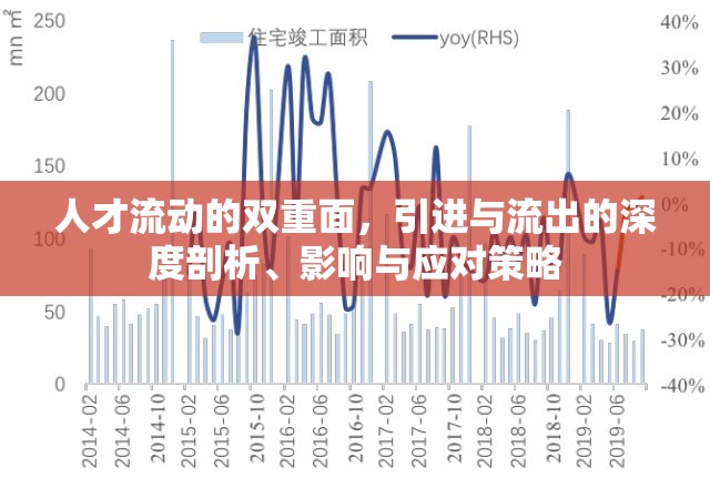 人才流動(dòng)的雙重面，引進(jìn)與流出的深度剖析、影響與應(yīng)對(duì)策略