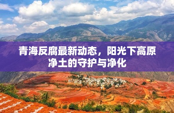 青海反腐最新動態(tài)，陽光下高原凈土的守護與凈化