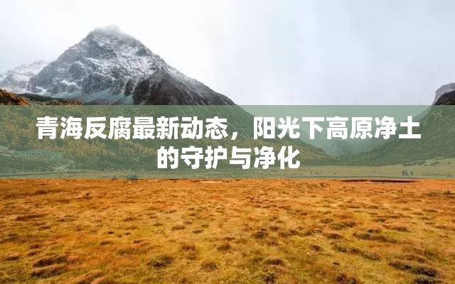 青海反腐最新動態(tài)，陽光下高原凈土的守護與凈化
