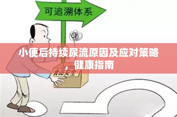 小便后持續(xù)尿流原因及應對策略，健康指南
