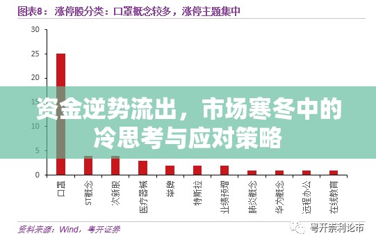 資金逆勢(shì)流出，市場(chǎng)寒冬中的冷思考與應(yīng)對(duì)策略