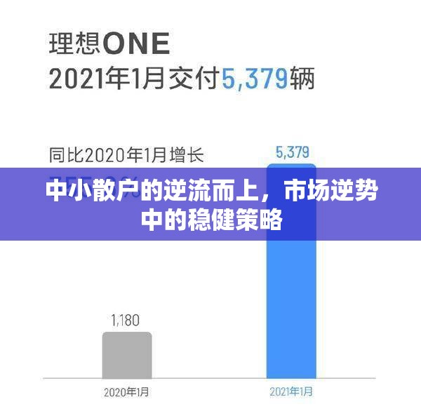 中小散戶的逆流而上，市場逆勢中的穩(wěn)健策略