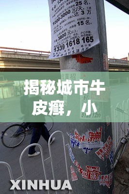 揭秘城市牛皮癬，小廣告的曝光與治理