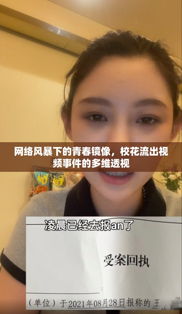 網(wǎng)絡(luò)風(fēng)暴下的青春鏡像，?；鞒鲆曨l事件的多維透視