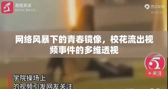 網(wǎng)絡(luò)風(fēng)暴下的青春鏡像，?；鞒鲆曨l事件的多維透視