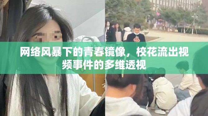 網(wǎng)絡(luò)風(fēng)暴下的青春鏡像，?；鞒鲆曨l事件的多維透視