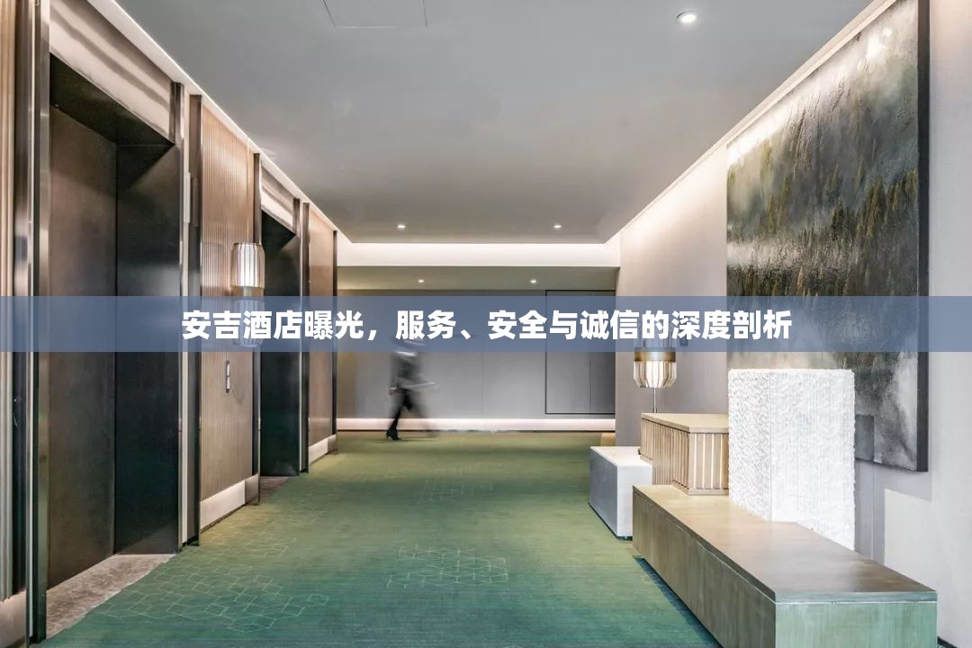 安吉酒店曝光，服務(wù)、安全與誠信的深度剖析