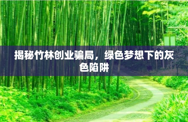 揭秘竹林創(chuàng)業(yè)騙局，綠色夢想下的灰色陷阱