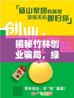 揭秘竹林創(chuàng)業(yè)騙局，綠色夢想下的灰色陷阱