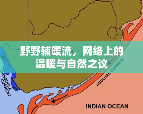 野野輔暖流，網(wǎng)絡(luò)上的溫暖與自然之議