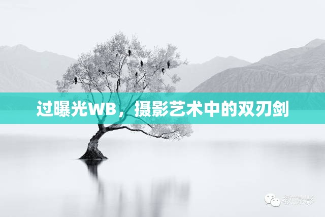 過曝光WB，攝影藝術(shù)中的雙刃劍