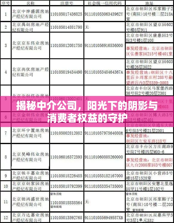 揭秘中介公司，陽(yáng)光下的陰影與消費(fèi)者權(quán)益的守護(hù)