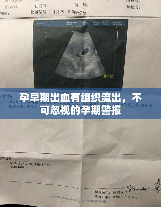 孕早期出血有組織流出，不可忽視的孕期警報(bào)