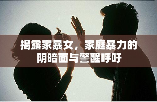 揭露家暴女，家庭暴力的陰暗面與警醒呼吁