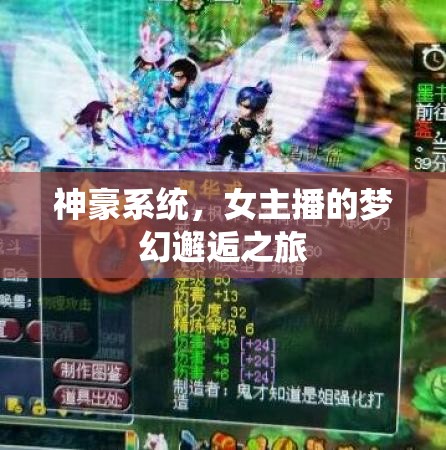 神豪系統(tǒng)，女主播的夢(mèng)幻邂逅之旅