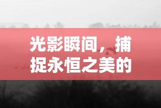 光影瞬間，捕捉永恒之美的攝影藝術(shù)